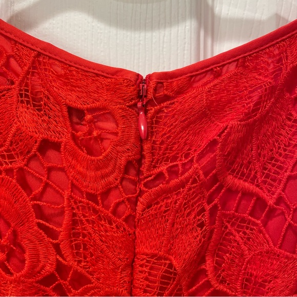 Ann Taylor Lace Dress - Picture 7 of 16